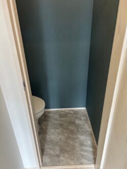 落ち着いたトーンでトイレがくつろぎ空間に