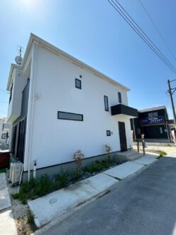 ツヤを抑えて、空間にやさしい光を