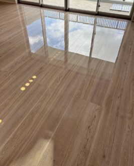 兵庫県西宮市でペット用UVフロアコーティングの施工後